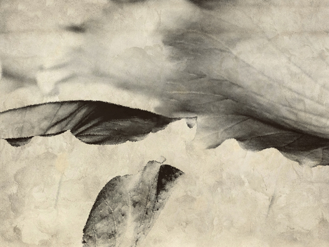  中式新中式水墨画壁纸壁布墙纸墙布背景墙 