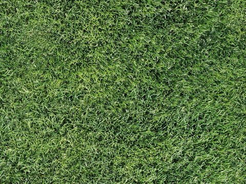  自然纹理 地面 草皮 草坪 草地 