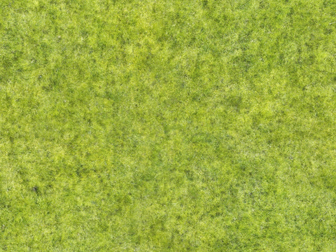  自然纹理 地面 草皮 草坪 草地 