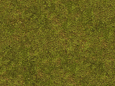  自然纹理 地面 草皮 草坪 草地 