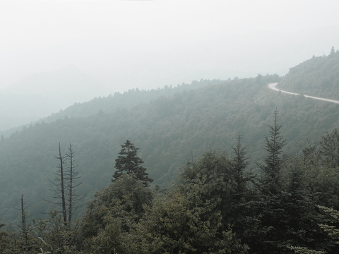 森林自然风光外景