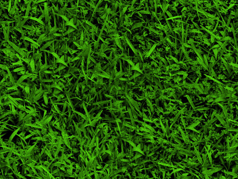  自然纹理 地面 草皮 草坪 草地 