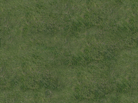  自然纹理 地面 草皮 草坪 草地 