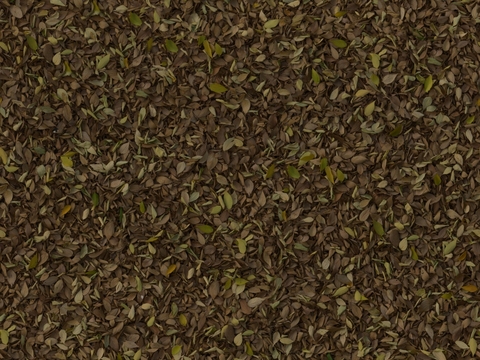  户外落叶地面 草坪地面 地面 