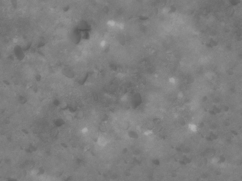  鹅卵石混泥土地面黑白凹凸 