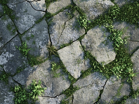  户外草地、雪地、地石砖、泥地碎石地表 