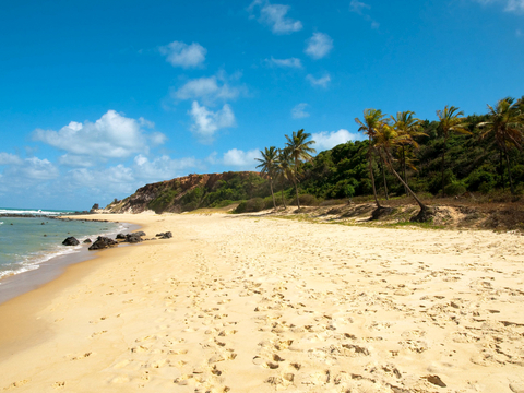  小区外景 环境 城市 都市外景 自然风景 