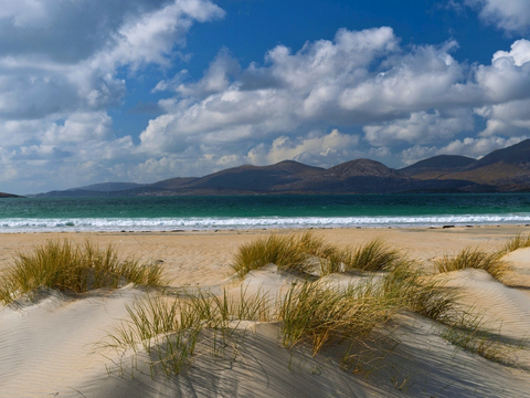  小区外景 环境 城市 都市外景 自然风景 