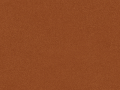  细纹皮革 皮革 皮革纹理 