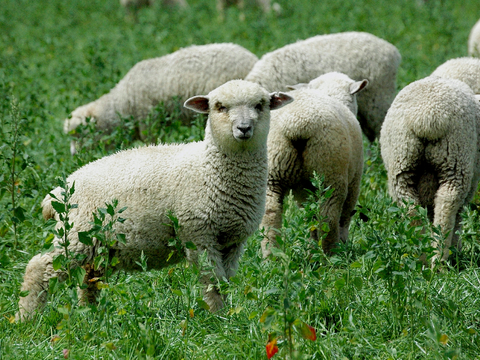  小区外景 环境 城市 都市外景 自然风景 