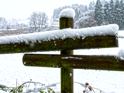  小区外景 环境 城市 都市外景 自然风景 