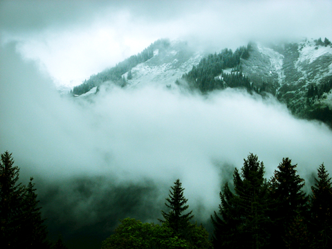  小区外景 环境 城市 都市外景 自然风景 