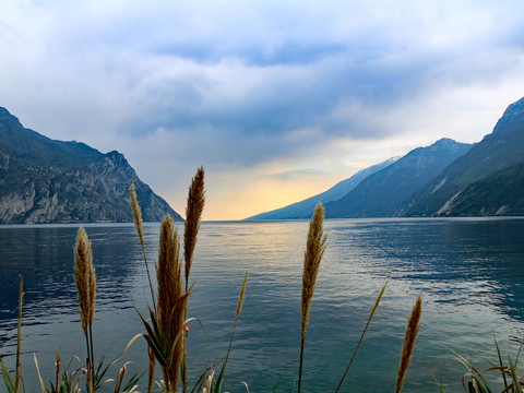  小区外景 环境 城市 都市外景 自然风景 
