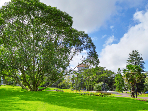 小区外景 环境 城市 都市外景 自然风景