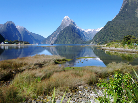 小区外景 环境 城市 都市外景 自然风景 