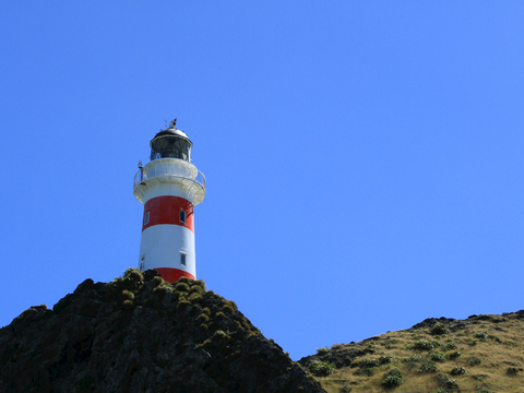  小区外景 环境 城市 都市外景 自然风景 