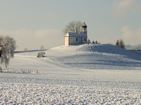 小区外景 环境 城市 都市外景 自然风景 