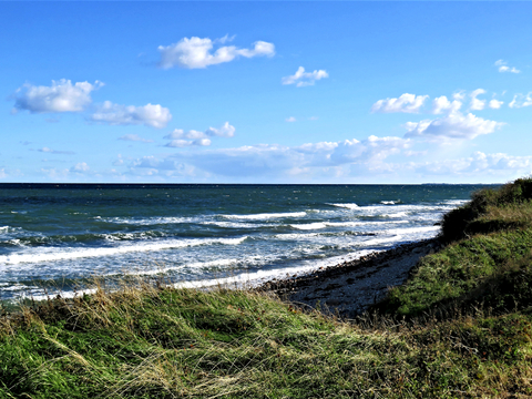  小区外景 环境 城市 都市外景 自然风景 