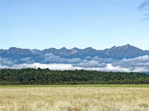 小区外景 环境 城市 都市外景 自然风景