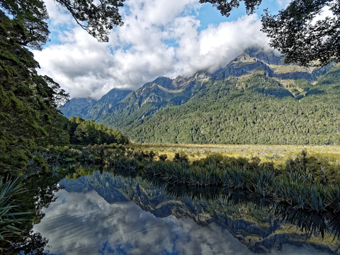 小区外景 环境 城市 都市外景 自然风景