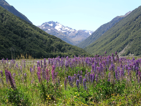 小区外景 环境 城市 都市外景 自然风景