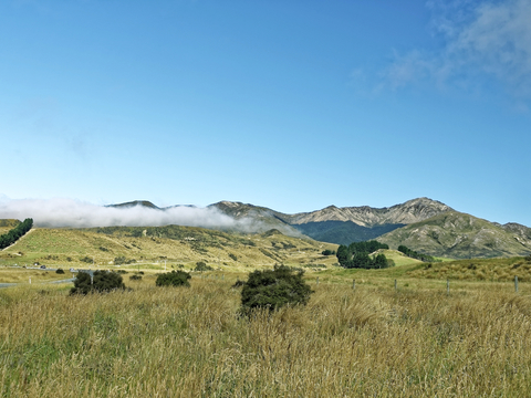 小区外景 环境 城市 都市外景 自然风景