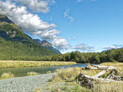 小区外景 环境 城市 都市外景 自然风景