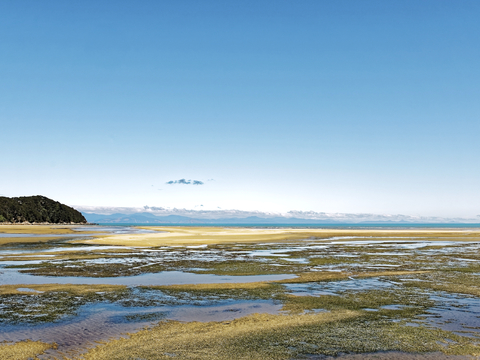 小区外景 环境 城市 都市外景 自然风景