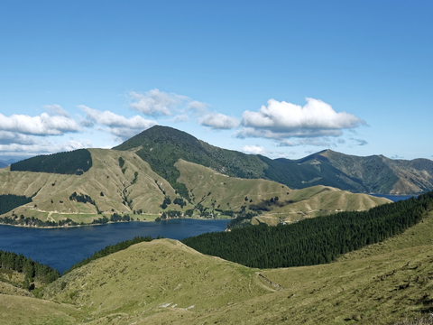 小区外景 环境 城市 都市外景 自然风景