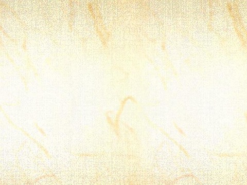 灯布 灯罩布料 灯框布纹