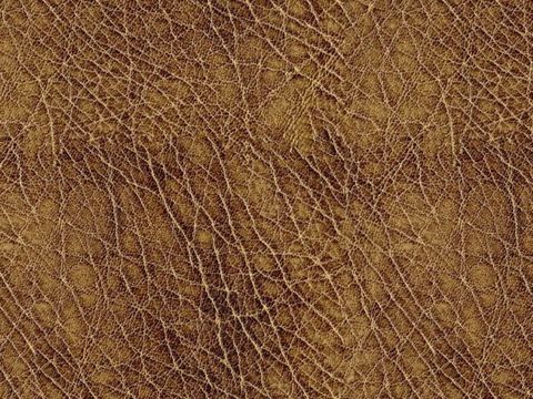  无缝皮革 