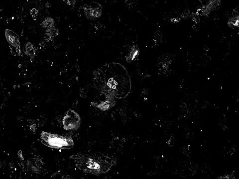 无缝黑色大理石