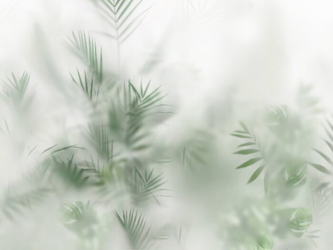 丝雾板冰裂板竹影板贴图