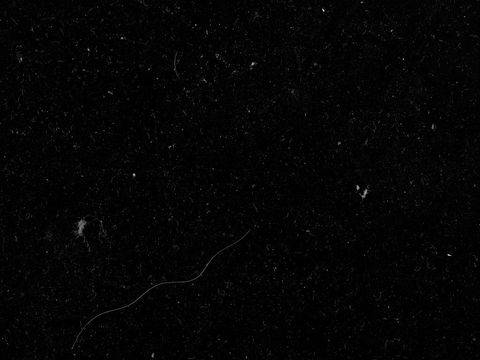 无缝黑色大理石