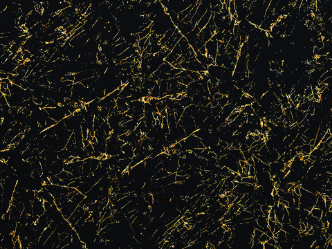 无缝黑色大理石