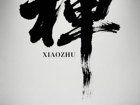 电影海报 字体 禅 毛笔字