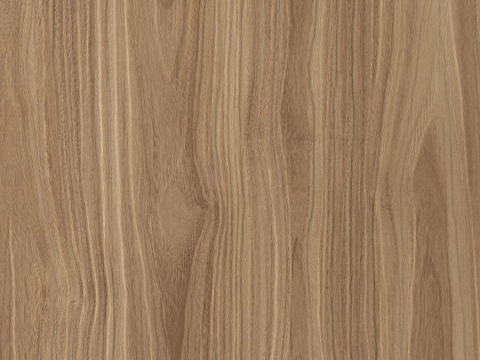 高清竖纹 木头木纹 原木 柚木 橡木