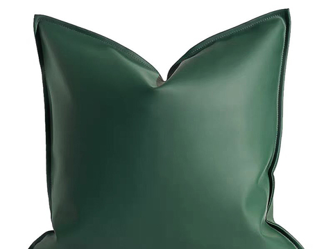 现代抱枕 枕头 印花抱枕 皮革抱枕