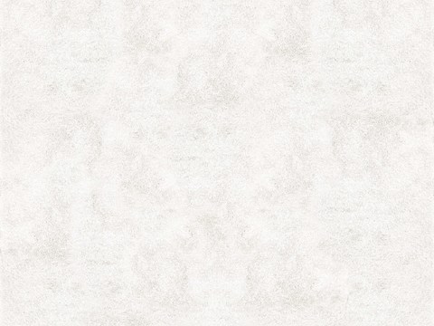 现代白色无缝绒布布纹贴图