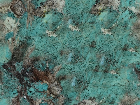  现代意式其他奢石_奢石_无缝大理石_岩板贴图 