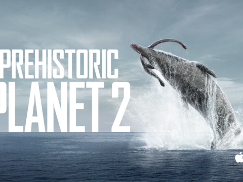 现代法式电视屏幕  电视屏 电脑屏 电子屏幕