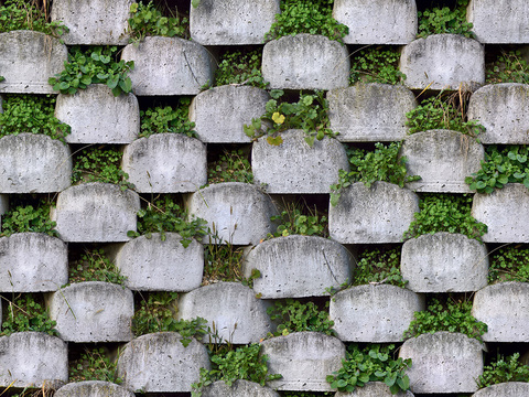  植物墙硅藻泥 肌理漆 真石漆  微水泥 艺术漆 乳胶漆 水泥 