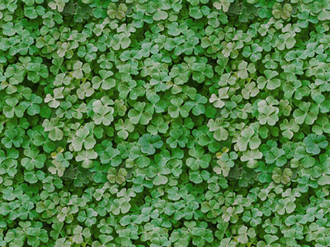  植物墙硅藻泥 肌理漆 真石漆  微水泥 艺术漆 乳胶漆 水泥 