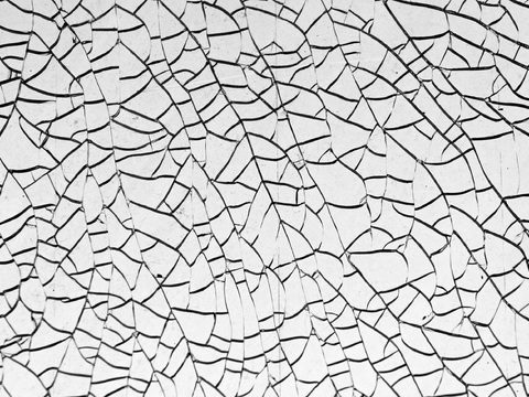  硅藻泥 肌理漆 真石漆 植物墙 微水泥 艺术漆 乳胶漆 水泥 