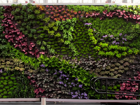 现代植物墙