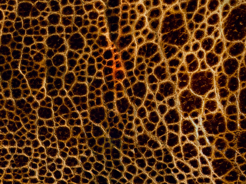 皮革 粗纹皮革 细纹皮革 编织皮 软包皮革 花纹皮革