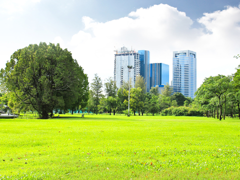 都市风情  庭院外景 草地绿地 外景