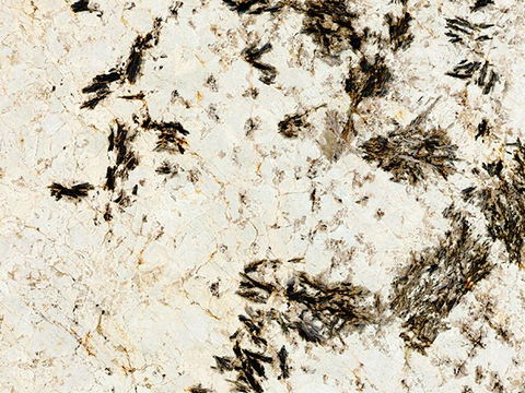 雪山银狐大理石贴图