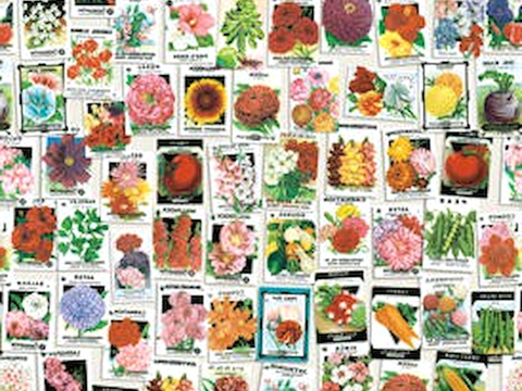 壁纸 壁布 壁画 墙纸 墙布 墙画 背景墙墙面艺术漆壁纸图案