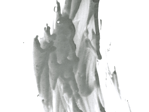  飞溅墨迹 水迹 泼墨 污迹 污渍 墨水涂鸦 抽象艺术画 